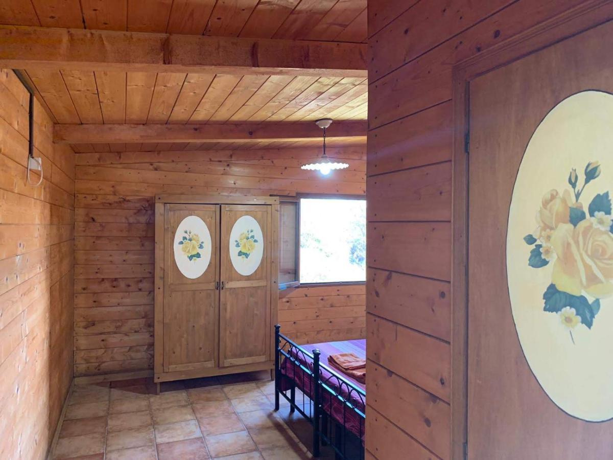 Night In The Wood Sorbo Villa Кампаняно ди Рома Екстериор снимка