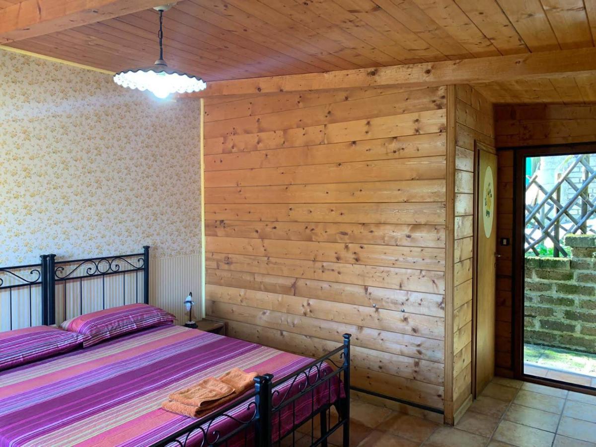 Night In The Wood Sorbo Villa Кампаняно ди Рома Екстериор снимка