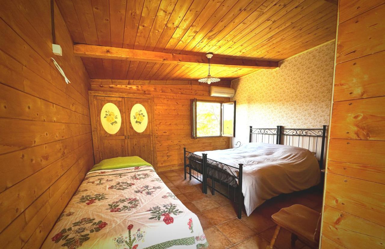 Night In The Wood Sorbo Villa Кампаняно ди Рома Екстериор снимка