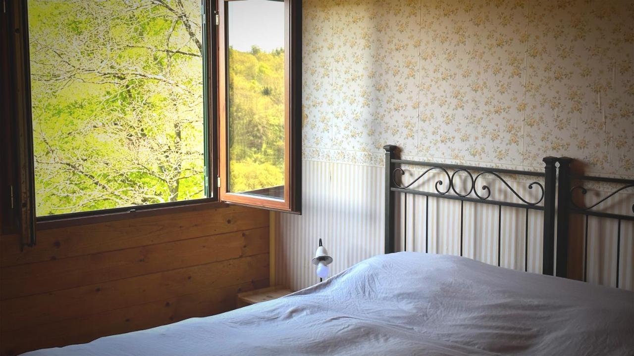 Night In The Wood Sorbo Villa Кампаняно ди Рома Екстериор снимка