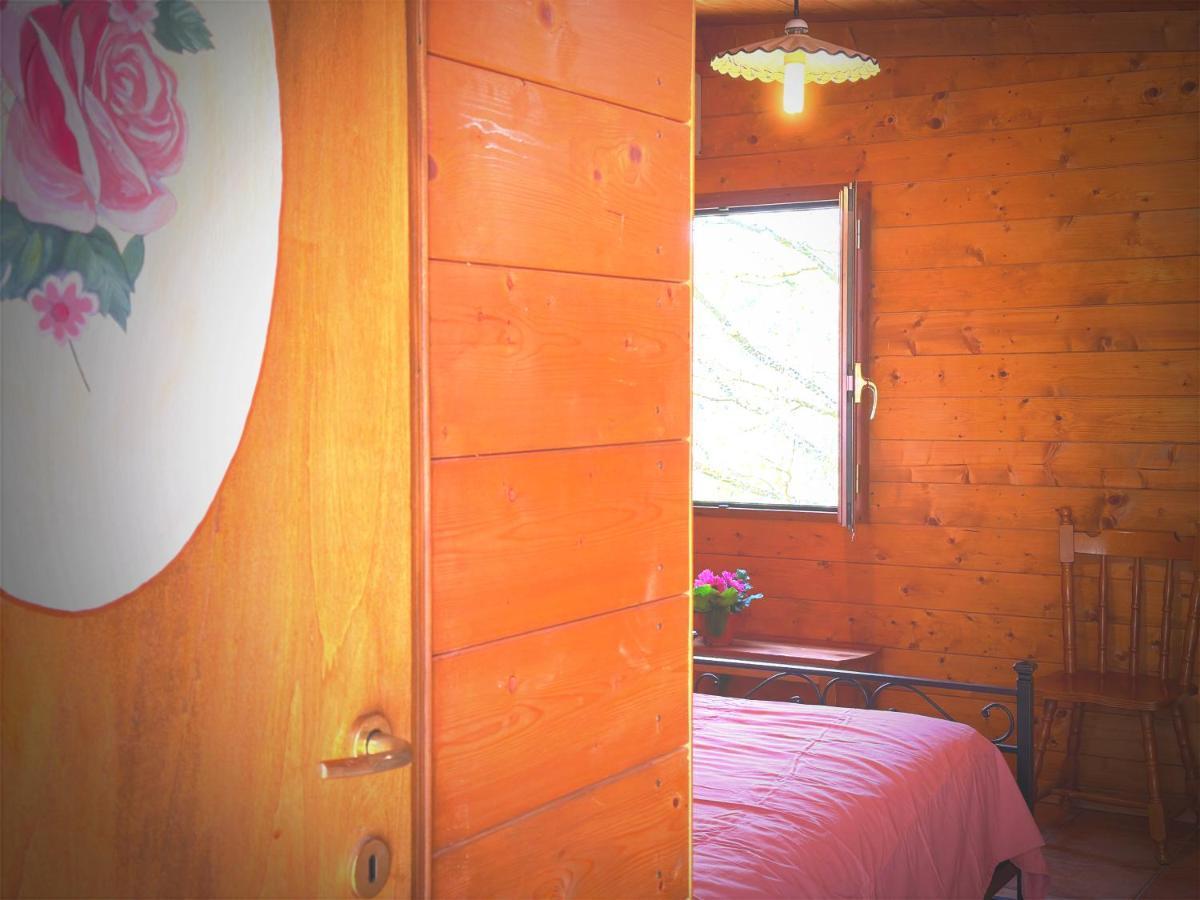 Night In The Wood Sorbo Villa Кампаняно ди Рома Екстериор снимка