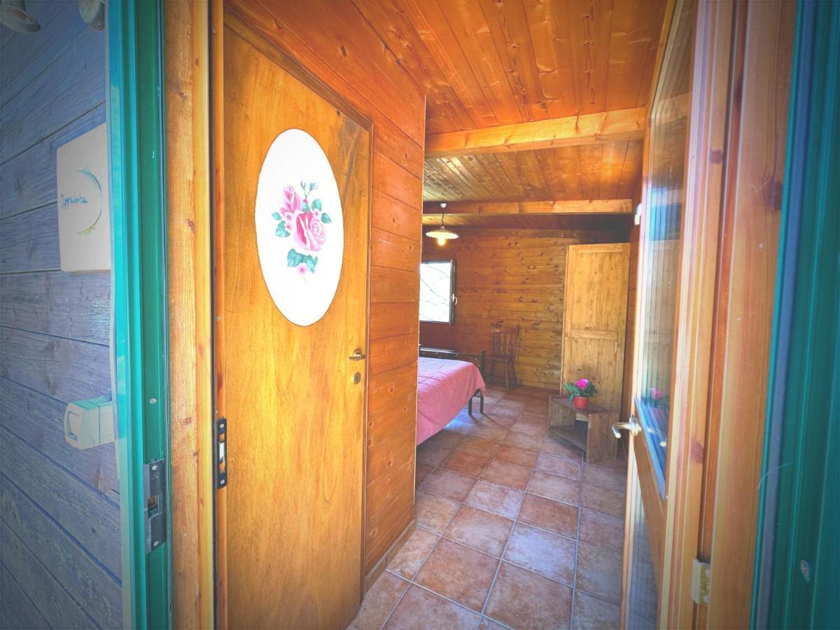 Night In The Wood Sorbo Villa Кампаняно ди Рома Екстериор снимка
