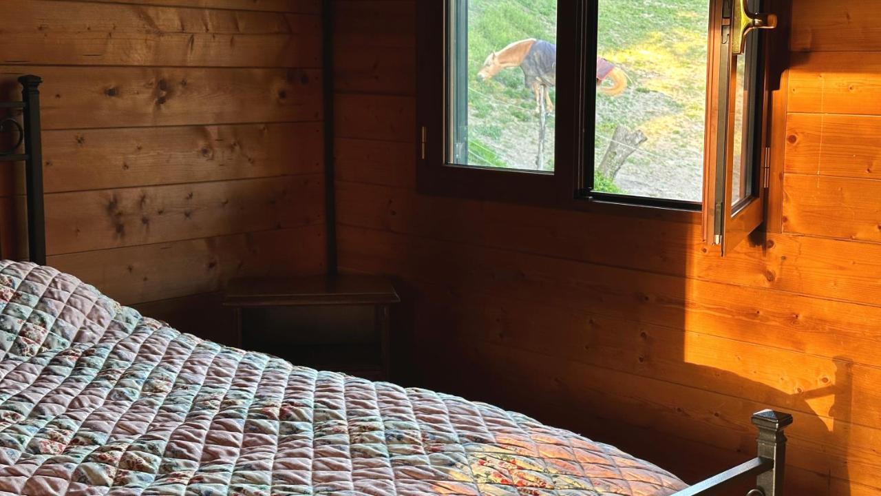 Night In The Wood Sorbo Villa Кампаняно ди Рома Екстериор снимка