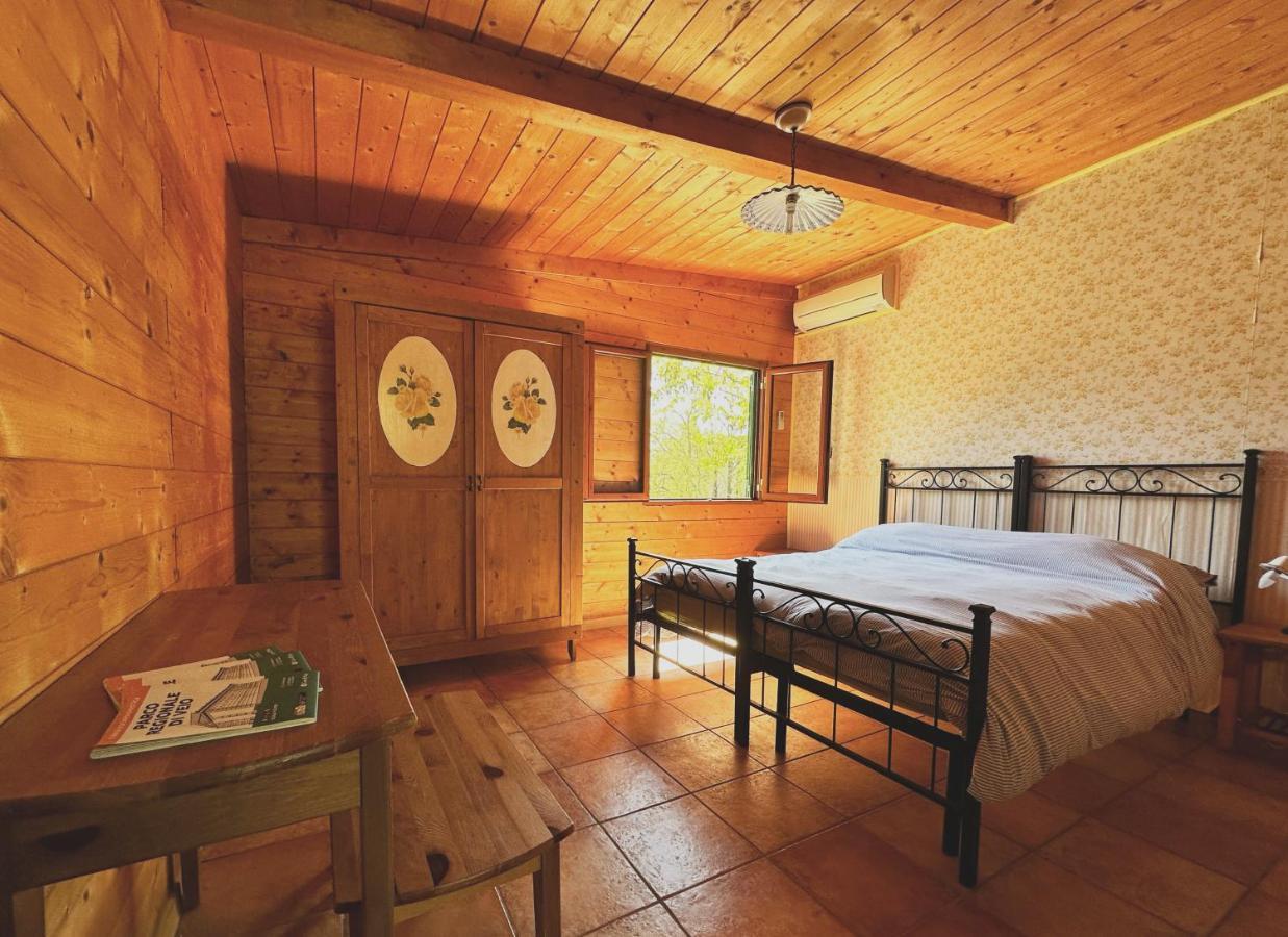 Night In The Wood Sorbo Villa Кампаняно ди Рома Екстериор снимка