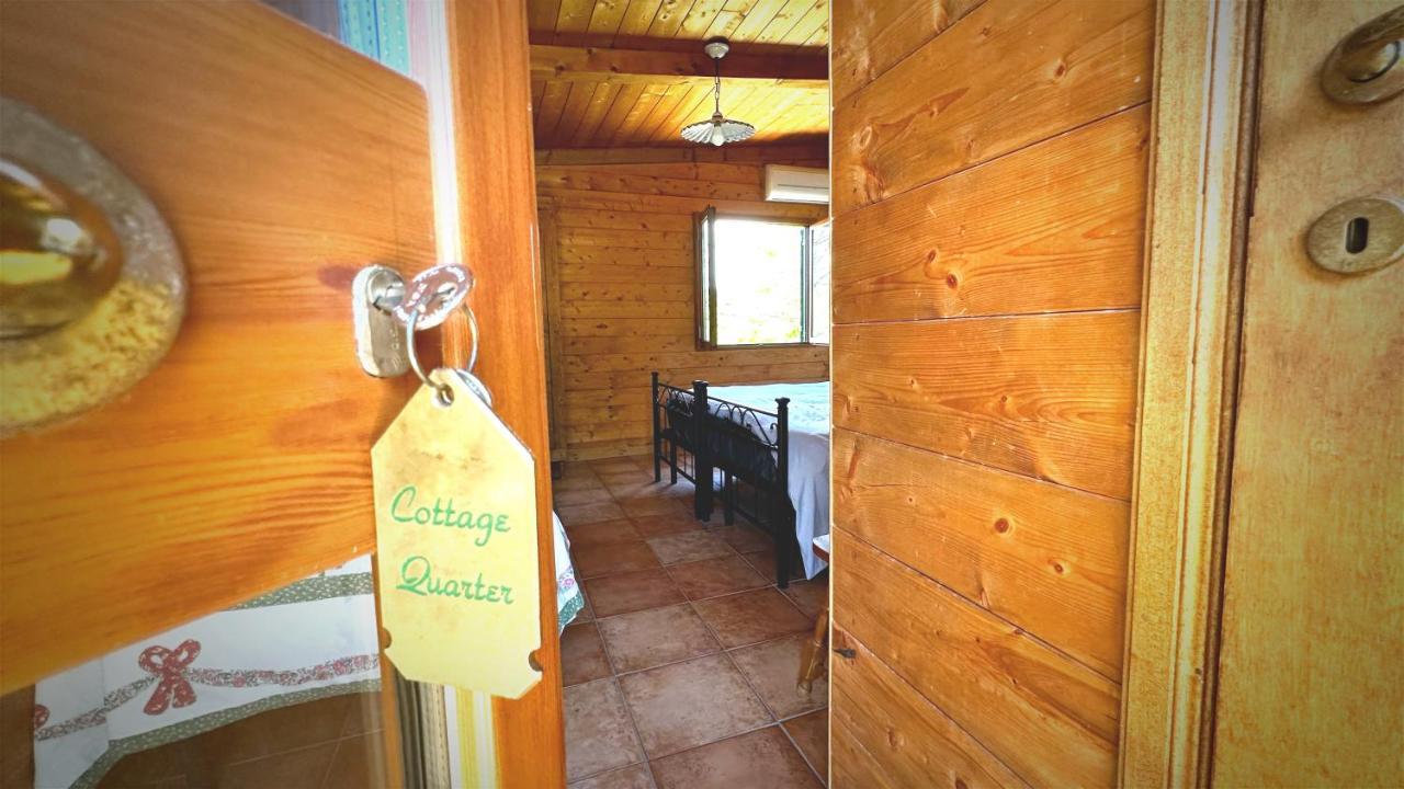 Night In The Wood Sorbo Villa Кампаняно ди Рома Екстериор снимка