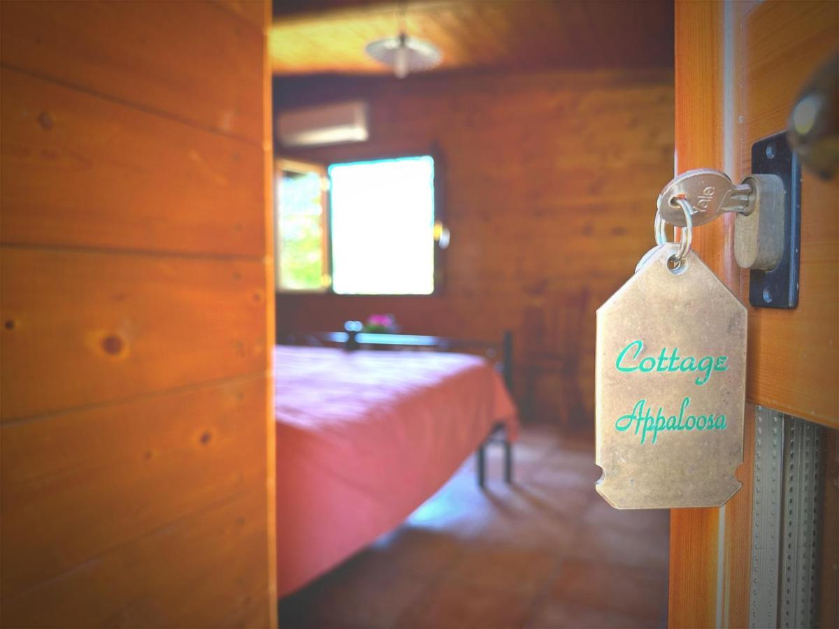 Night In The Wood Sorbo Villa Кампаняно ди Рома Екстериор снимка